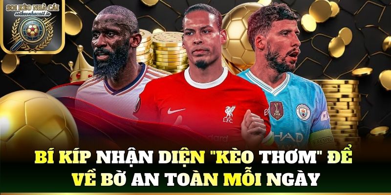 Bí kíp soi kèo thắng lớn từ các cao thủ cá độ bóng đá