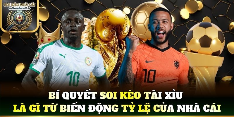 Bí quyết soi kèo tài xỉu là gì từ biến động tỷ lệ của nhà cái