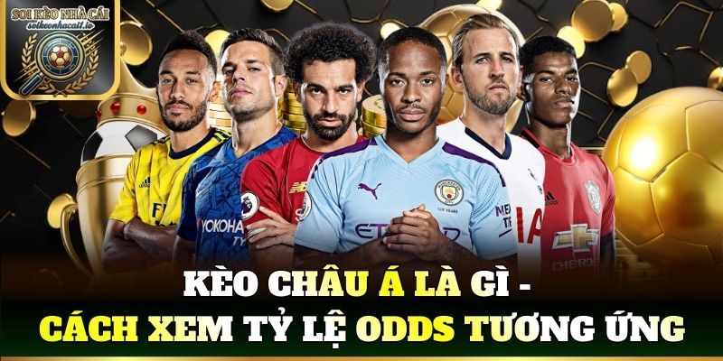 Kèo châu Á là gì - Cách xem tỷ lệ Odds tương ứng