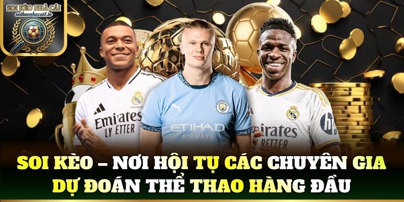 Soi kèo – Nơi hội tụ các chuyên gia dự đoán thể thao hàng đầu