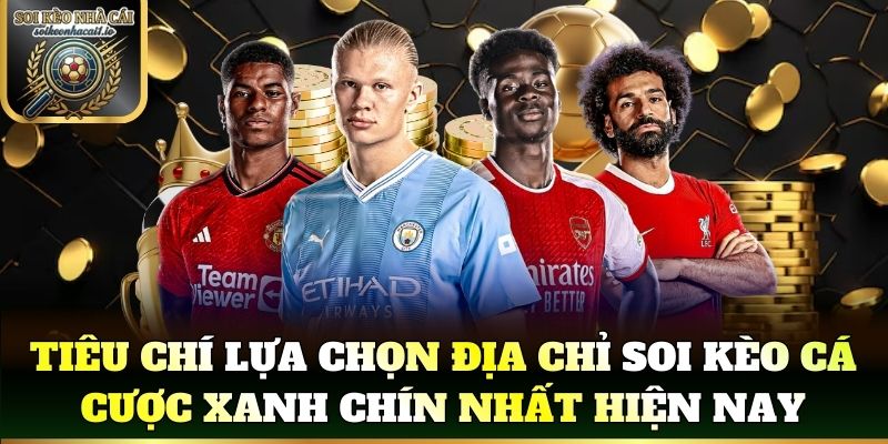 Dấu hiệu nhận biết website soi kèo chính thống và an toàn