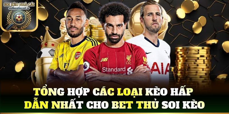 Tổng hợp các loại kèo hấp dẫn cho bet thủ soi kèo