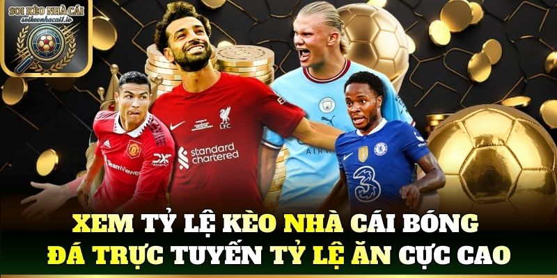 Xem tỷ lệ kèo nhà cái bóng đá trực tuyến tỷ lệ ăn cực cao